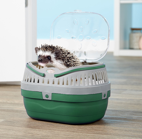 Hedgehog carrier discount